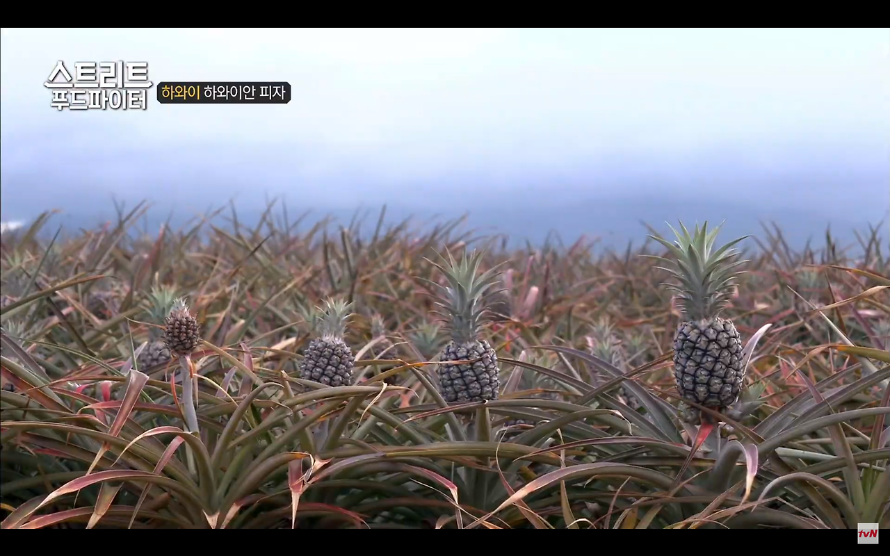 스트리트 푸드 파이터15.png