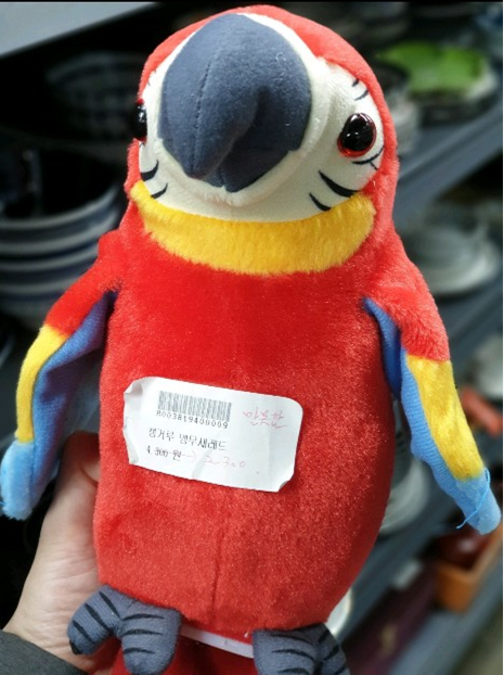 말 못 하는 앵무새.png