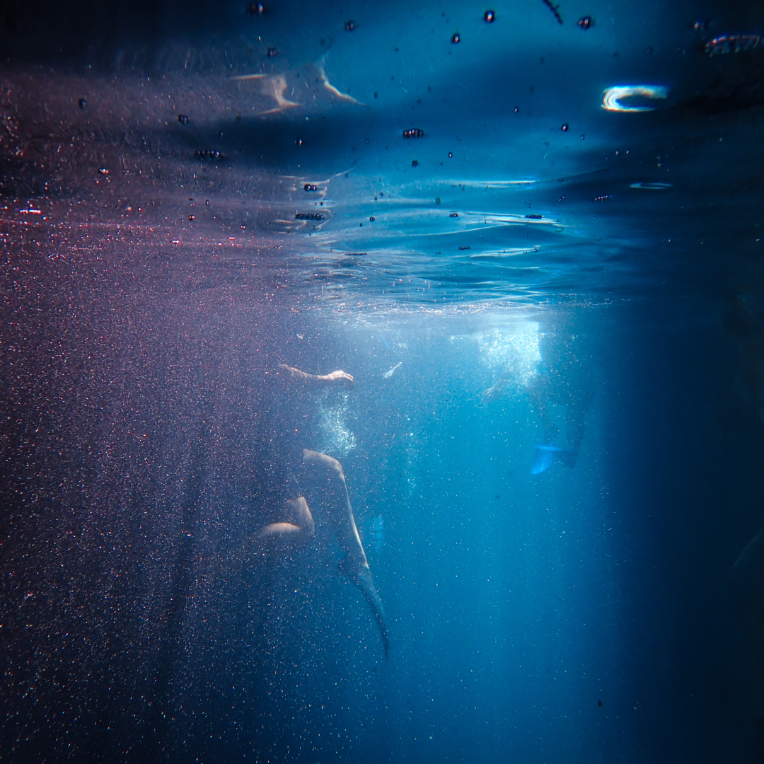 하늘색 심플한 명언 인용문 인스타그램 게시물 (1).png