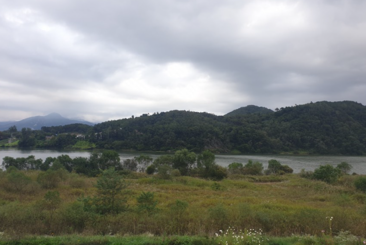 스크린샷 2024-06-16 215630.png