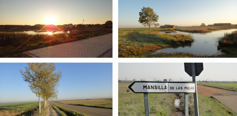 만시야가는 길.png