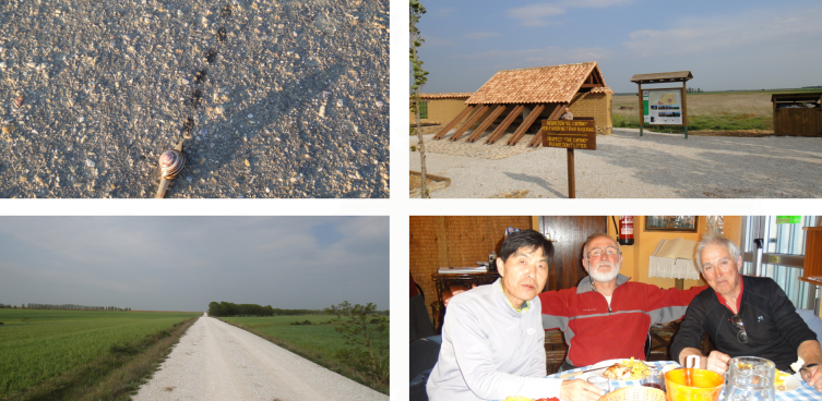 엘부르고 가는 길.png