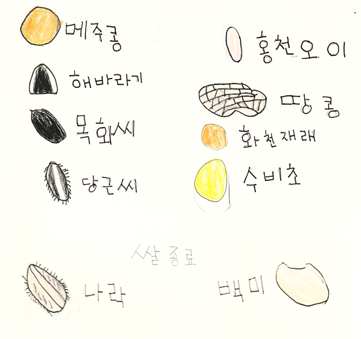 그림19.png