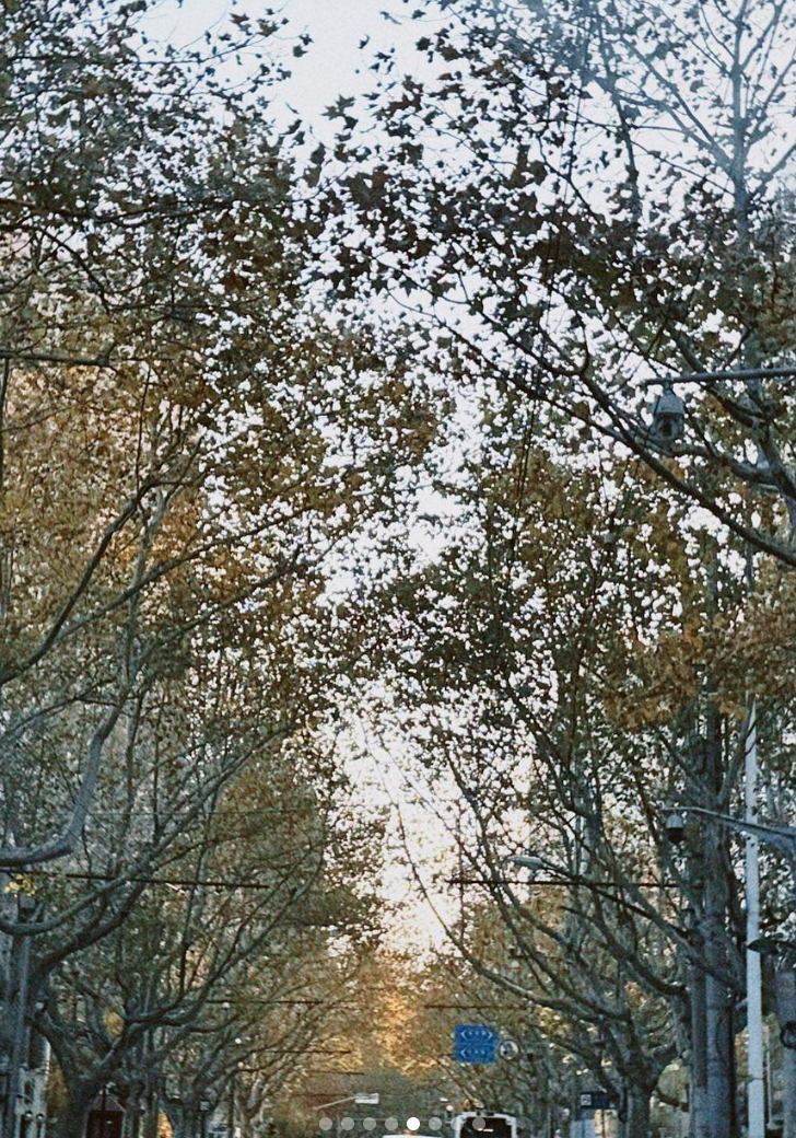 Screen Shot 2022-12-21 at 22.42.10.png