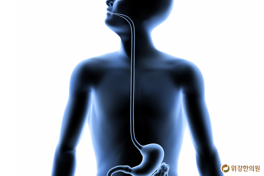 역류성식도염4.png