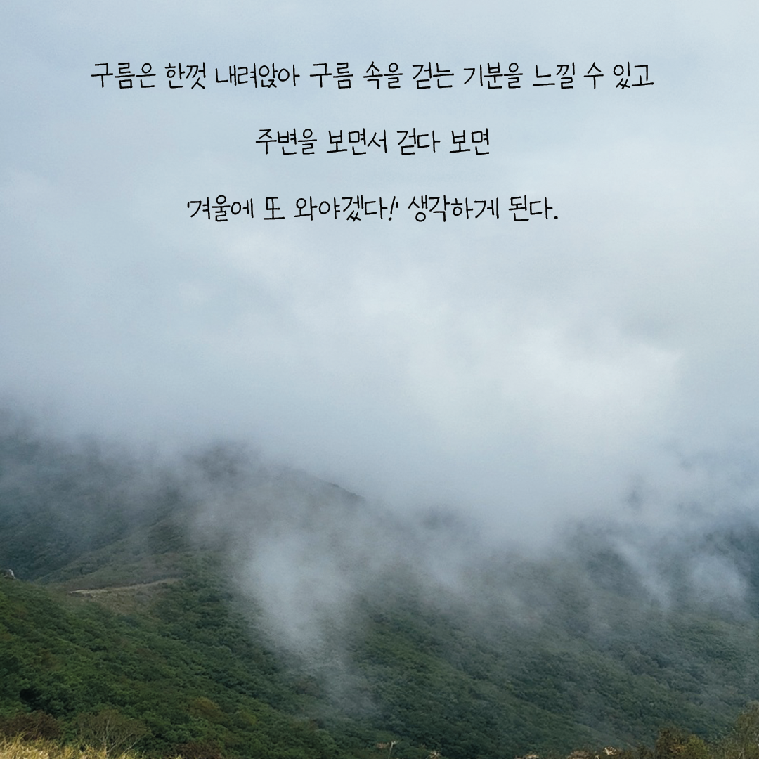 20220919_소백산_006.png