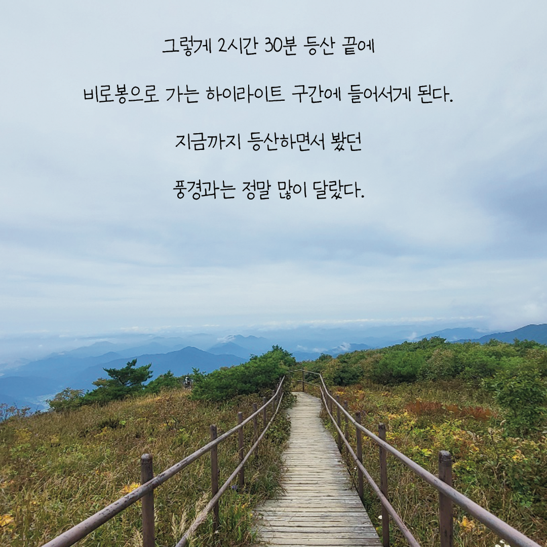 20220919_소백산_004.png