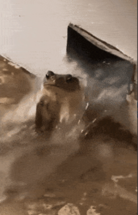 스크린샷 2022-06-23 오후 8.20.06.png