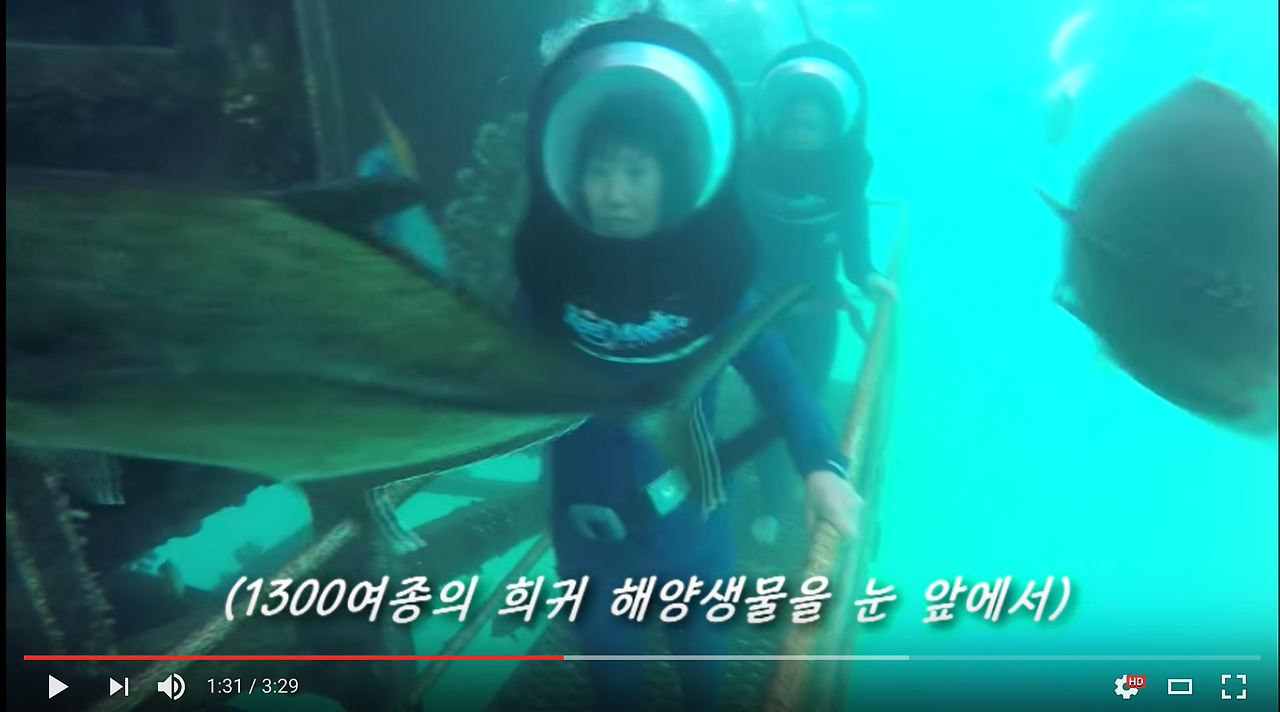 Screen Shot 2017-03-08 at 11.21.06 PM.png