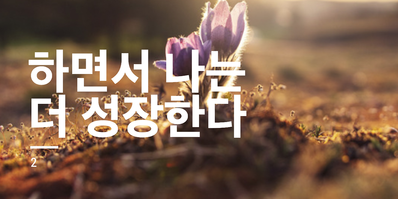 Screen Shot 2019-01-24 at 2.17.50 PM.png