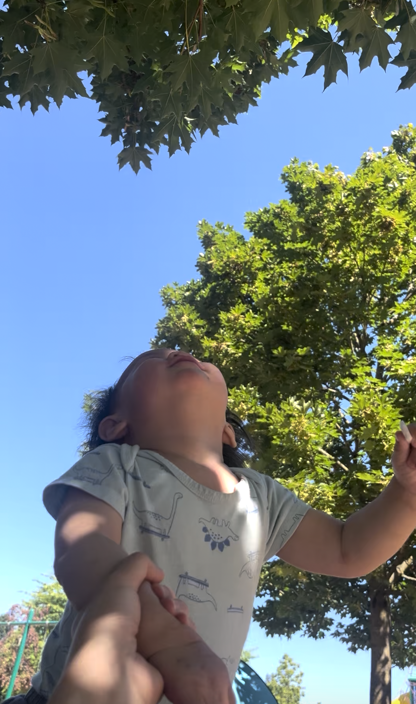 Screenshot 2025-12-14 at 12.54.28 PM.png