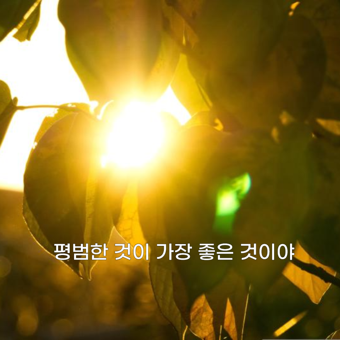 제목을 입력해주세요_-001.png