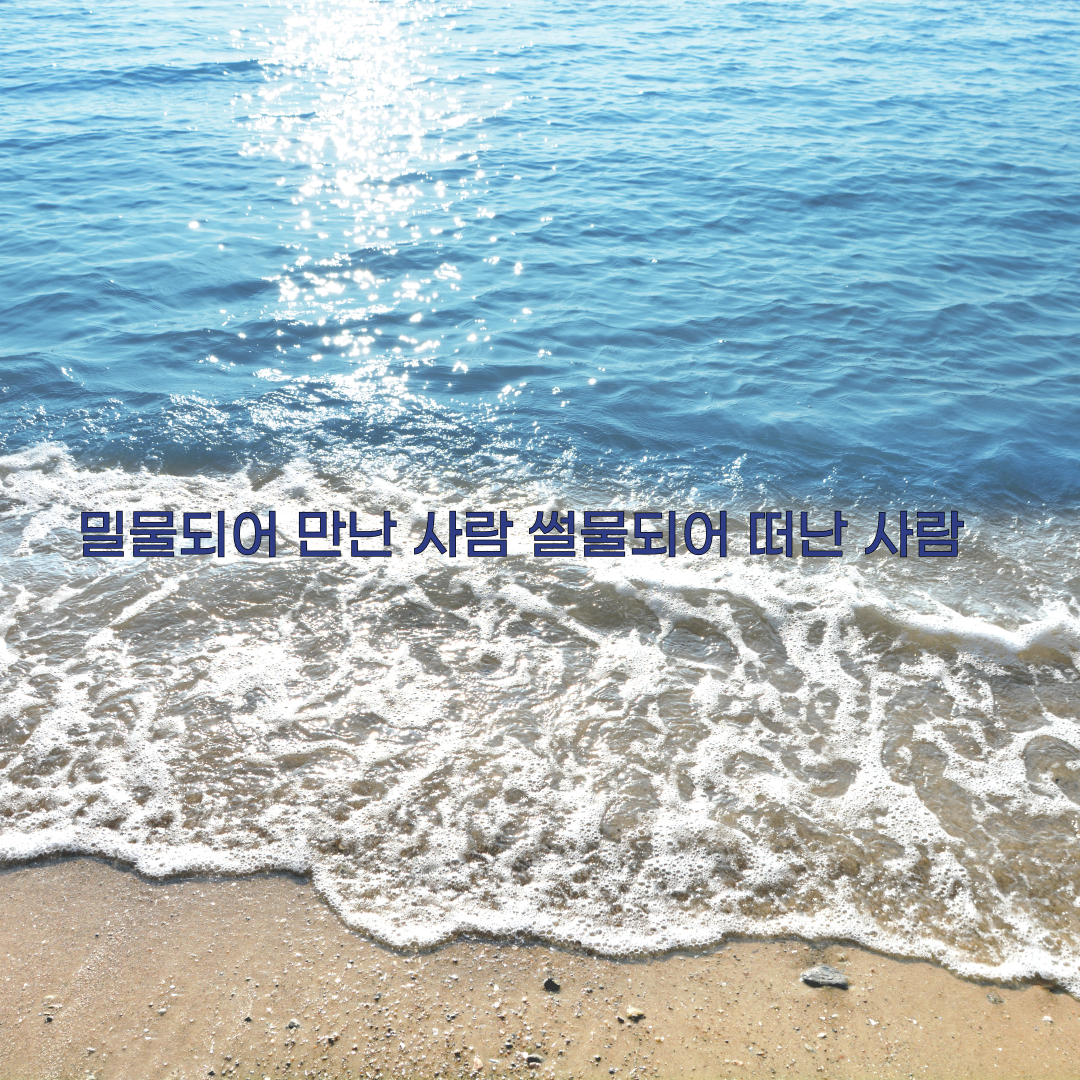 제목을-입력해주세요_-002 (31).png
