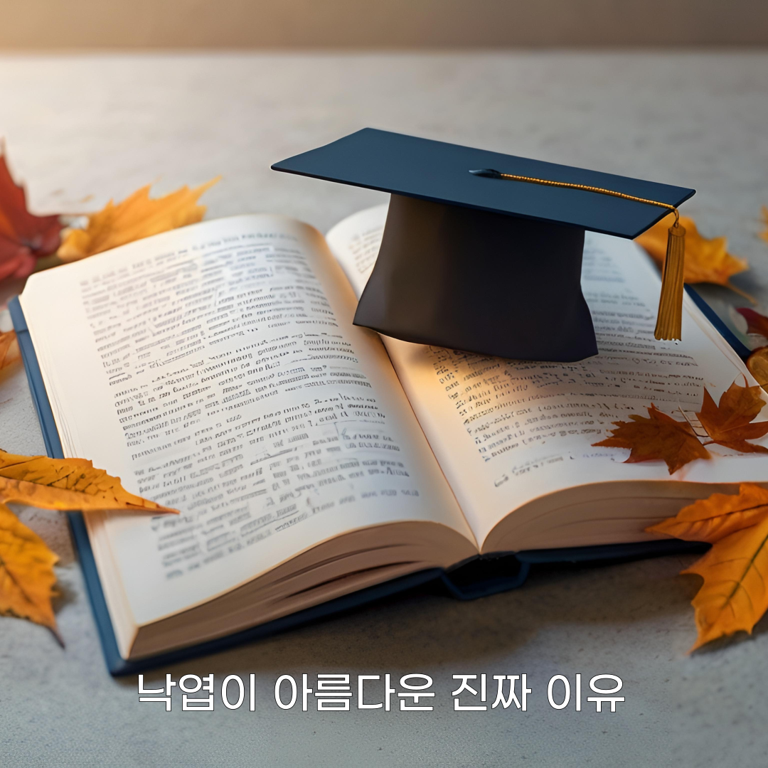 제목을-입력해주세요_-002 (12).png