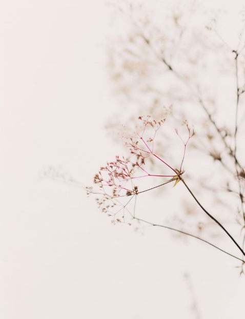 스크린샷 2026-01-01 오전 8.58.30.png