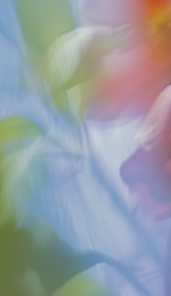 스크린샷 2025-12-26 오후 9.02.00.png