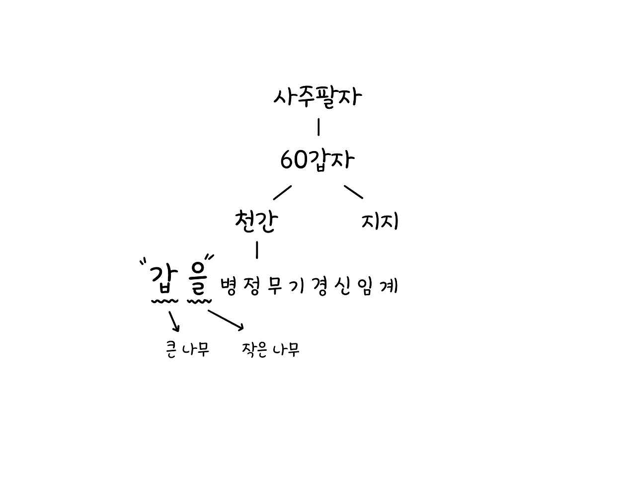 갑을의 의미(큰나무와 작은나무(.png