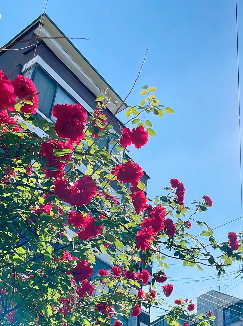 다운로드 (2).png