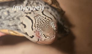 화면 캡처 2025-08-05 220900.png