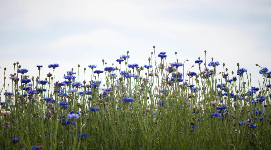 스크린샷 2025-04-16 072734.png