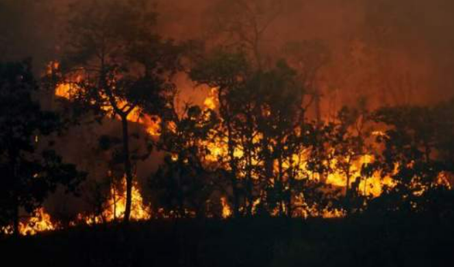 스크린샷 2025-03-27 075922.png