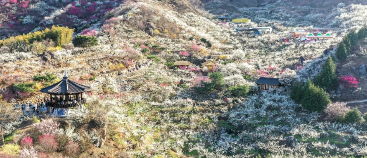 스크린샷 2025-02-16 071415.png