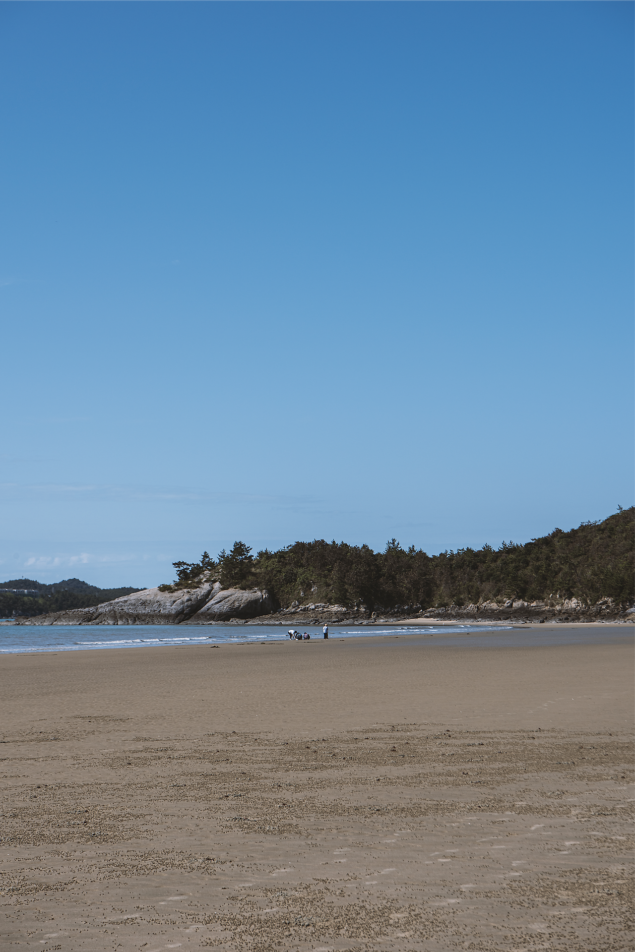 스크린샷 2020-09-29 오전 11.31.44.png