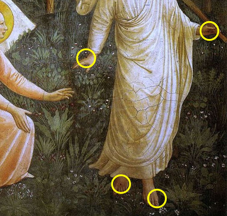 놀리메 탕게레7.png