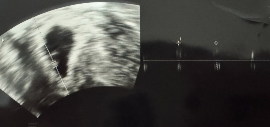 Screenshot 2025-09-27 at 1.10.34 PM.png