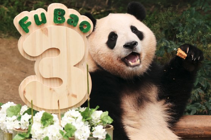 Screenshot 2023-08-21 at 11.52.20 AM.png