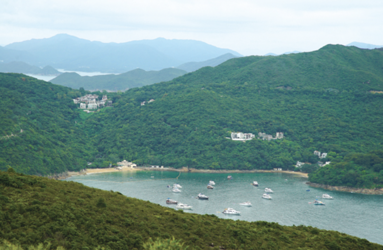 Screen Shot 2021-08-22 at 2.46.29 PM.png