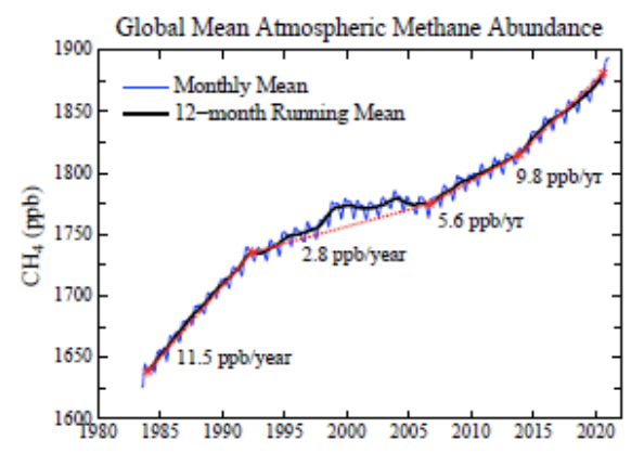 Screen Shot 2021-05-24 at 9.32.35 AM.png