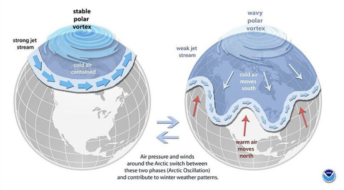 Screenshot 2020-10-12 at 10.26.14 AM.png