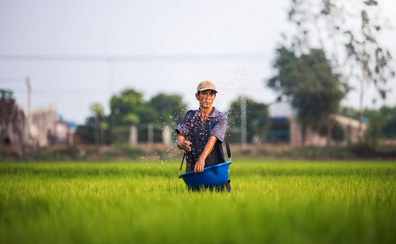 Screenshot 2024-06-03 at 2.14.33 PM.png