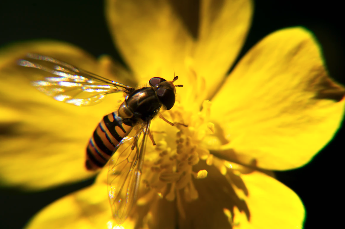 Screenshot 2023-08-21 at 11.51.29 AM.png