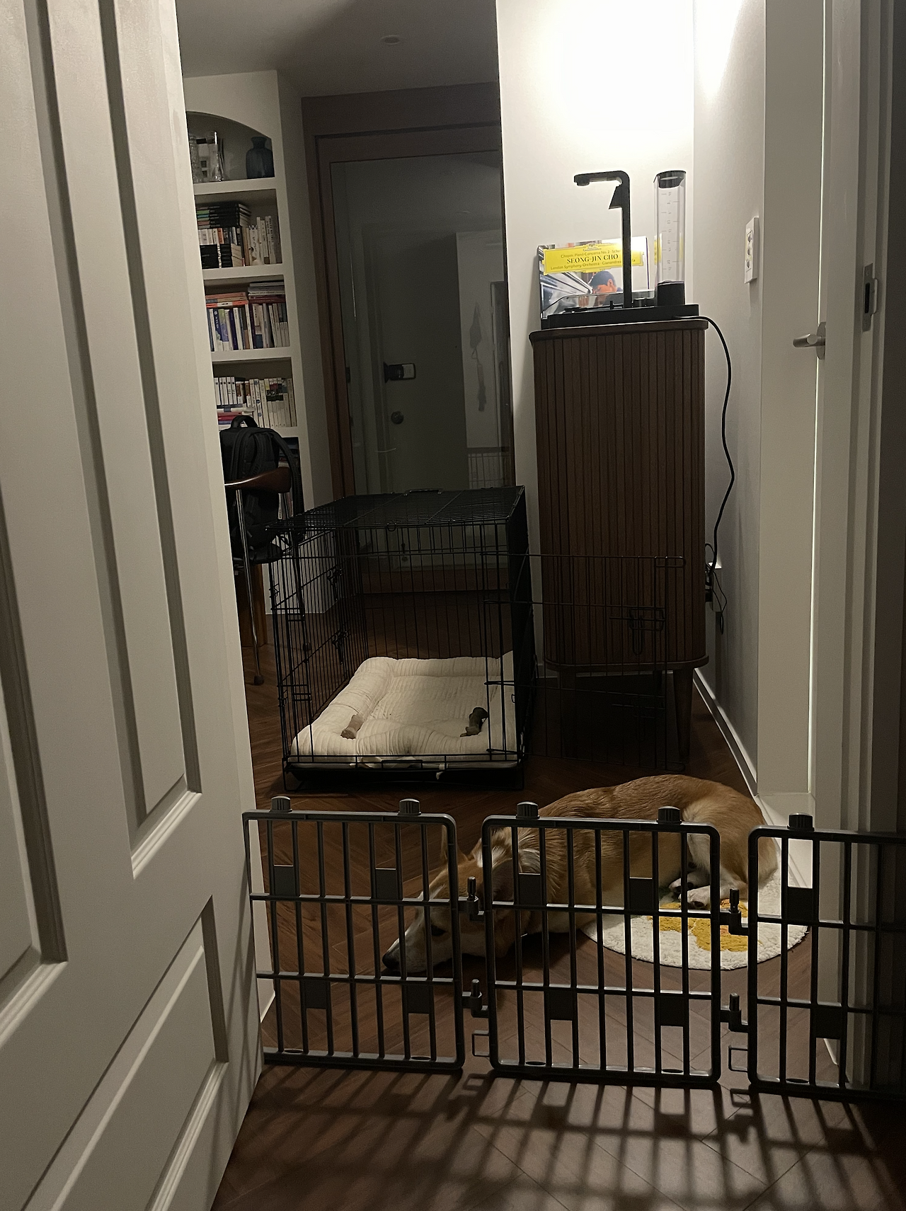 스크린샷 2022-06-11 오후 5.22.55.png