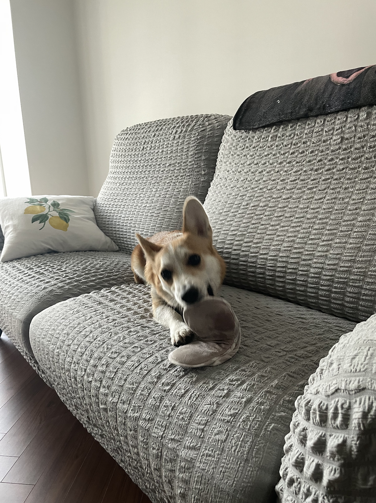 스크린샷 2022-06-11 오후 5.26.34.png