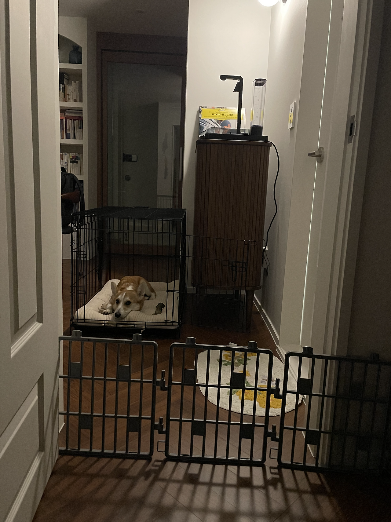 스크린샷 2022-06-11 오후 5.23.06.png