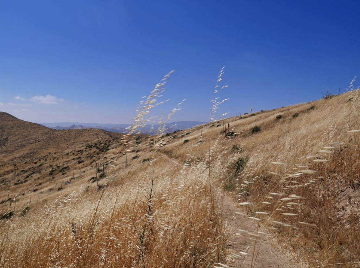 스크린샷 2020-10-06 오후 3.11.25.png