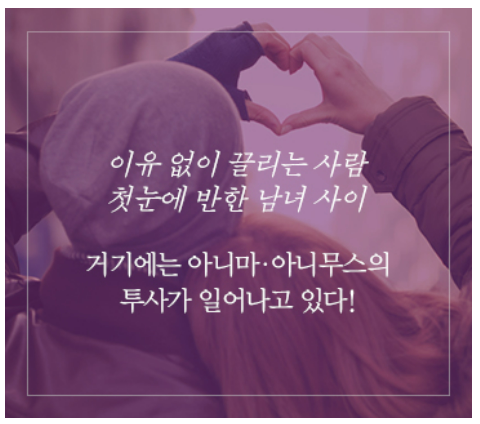 아니마 아니무스 3.png