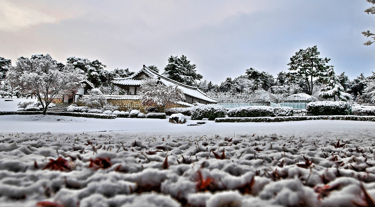 2023-02-02 01_08_13-추사고택 풍경 눈 - Pixabay의 무료 사진 - Chrome.png