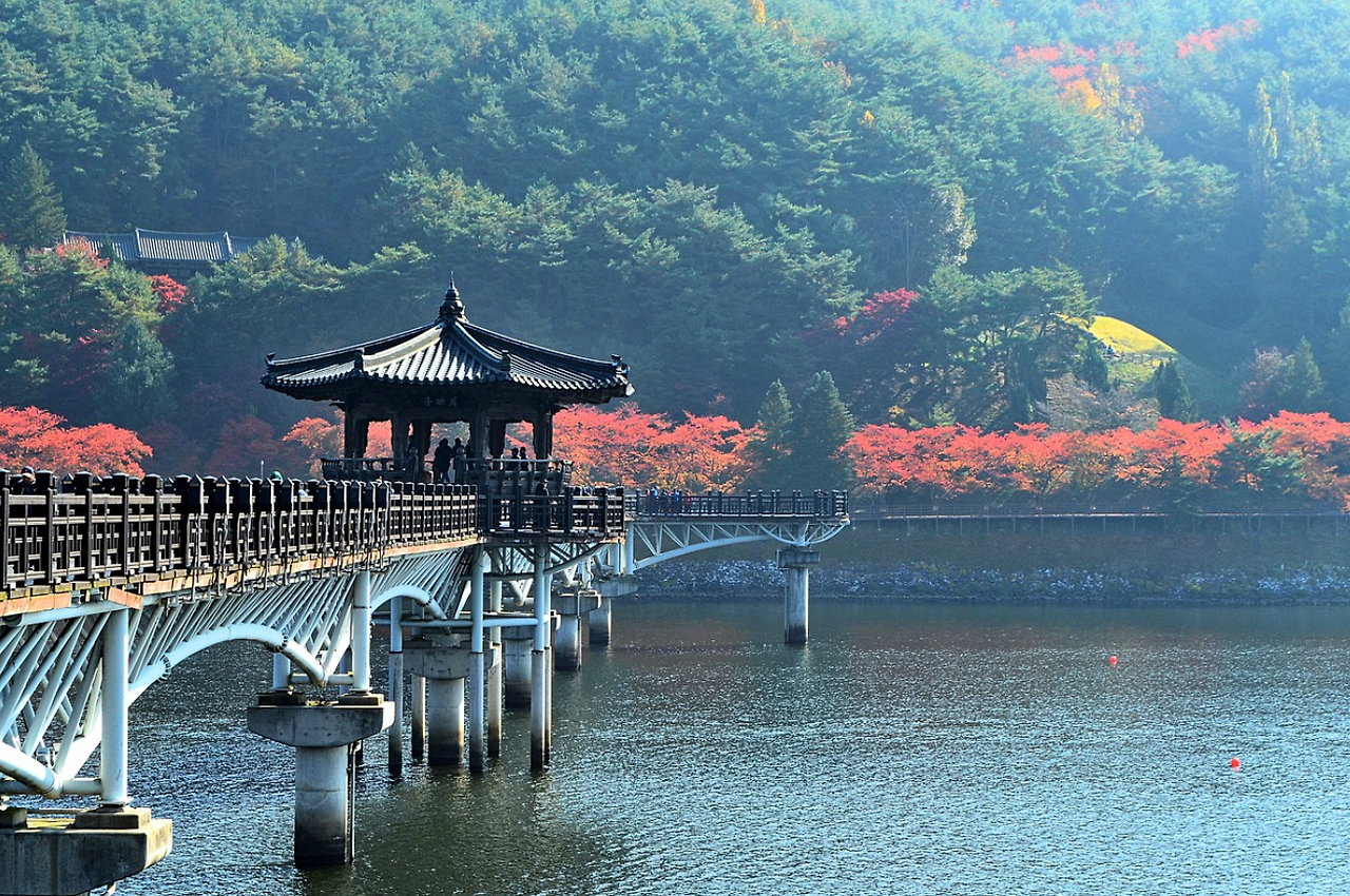 2023-02-02 01_07_44-다리 호수 숲 - Pixabay의 무료 사진 - Chrome.png