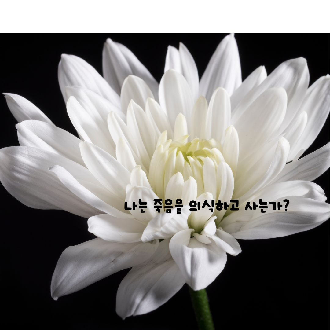 나는 죽음을 의식하고 사는가.png