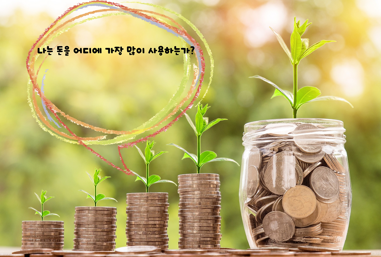 나는 돈을 어디에 가장 많이 사용하는가.png