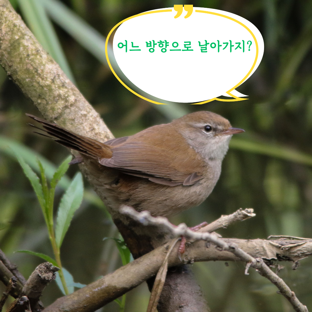 어느 방향으로 날아가지.png