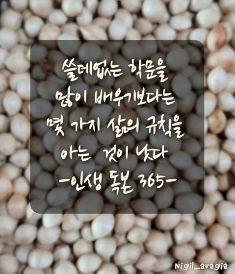 쓸데없는 지식.png