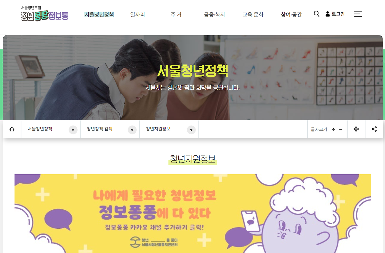 서울시 청년정책.png