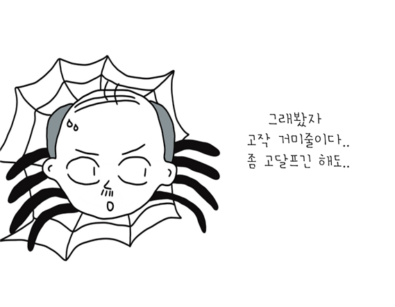산책을 할 때 조심해야 할 것은.png