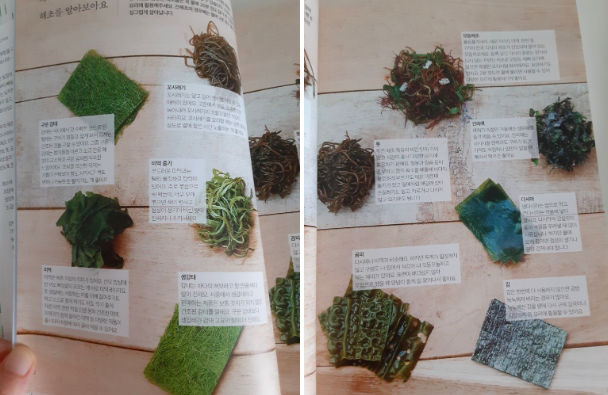 스크린샷 2020-09-03 오후 5.29.08.png