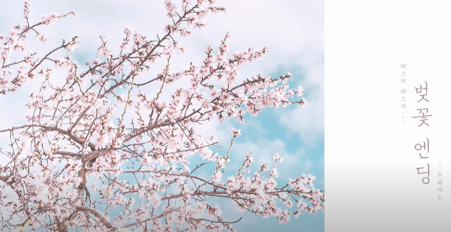 벚꽃.png